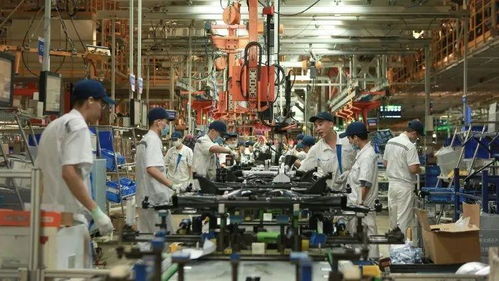 港珠澳大橋出入境客流破千萬 大灣區互聯互通活力彰顯